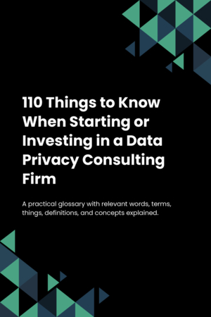 110 Things to Know When Starting or Investing in a Data Privacy Consulting Firm