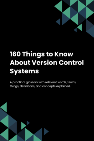 160 Things to Know About Version Control Systems