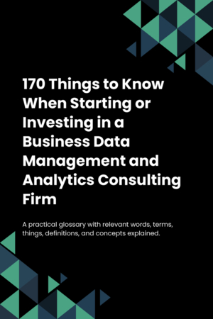 170 Things to Know When Starting or Investing in a Business Data Management and Analytics Consulting Firm