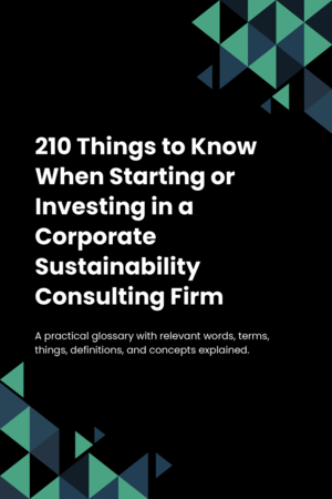 210 Things to Know When Starting or Investing in a Corporate Sustainability Consulting Firm