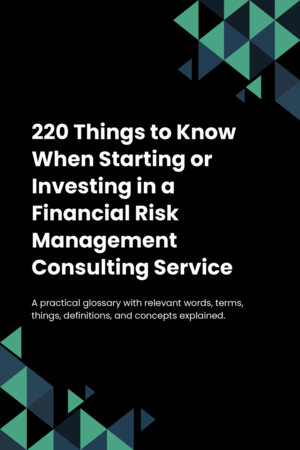 220 Things to Know When Starting or Investing in a Financial Risk Management Consulting Service