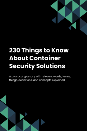 230 Things to Know About Container Security Solutions