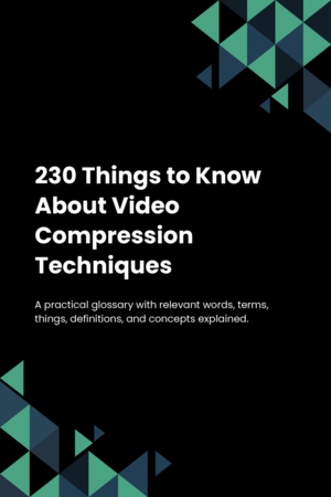 230 Things to Know About Video Compression Techniques