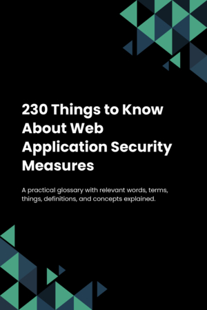 230 Things to Know About Web Application Security Measures