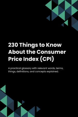 230 Things to Know About the Consumer Price Index (CPI)