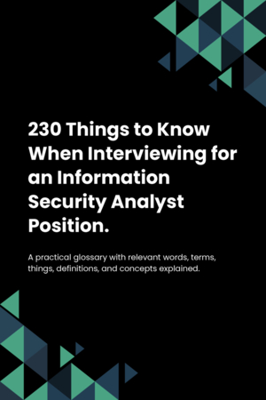 230 Things to Know When Interviewing for an Information Security Analyst Position.