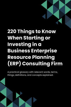 230 Things to Know When Starting or Investing in a Business Enterprise Resource Planning (ERP) Consulting Firm