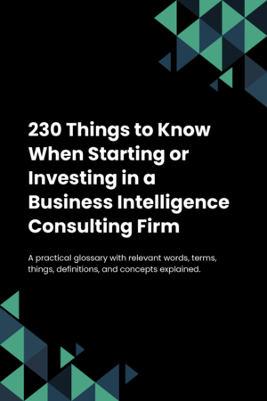 230 Things to Know When Starting or Investing in a Business Intelligence Consulting Firm