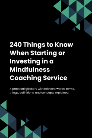 230 Things to Know When Starting or Investing in a Mindfulness Coaching Service