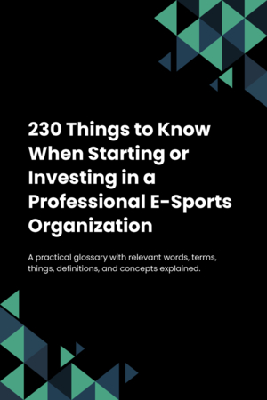 230 Things to Know When Starting or Investing in a Professional E-Sports Organization