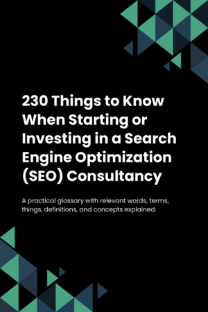 230 Things to Know When Starting or Investing in a Search Engine Optimization (SEO) Consultancy