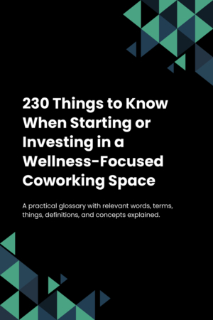 230 Things to Know When Starting or Investing in a Wellness-Focused Coworking Space