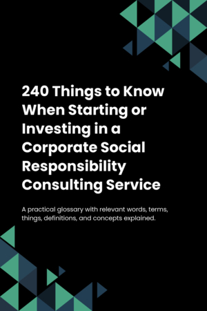 240 Things to Know When Starting or Investing in a Corporate Social Responsibility Consulting Service