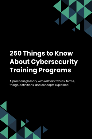 250 Things to Know About Cybersecurity Training Programs