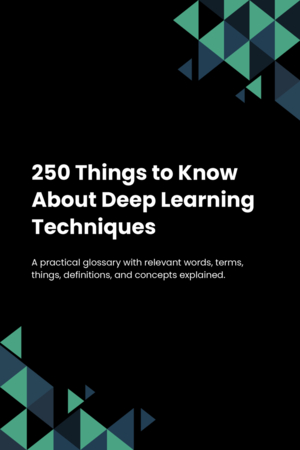 250 Things to Know About Deep Learning Techniques