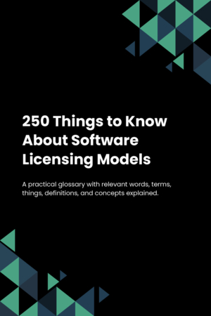 250 Things to Know About Software Licensing Models