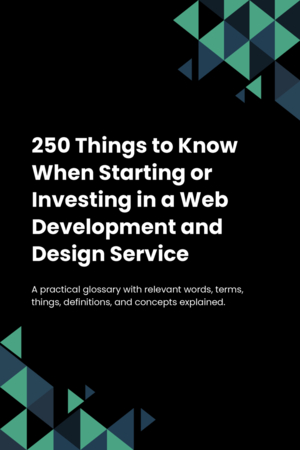 250 Things to Know When Starting or Investing in a Web Development and Design Service