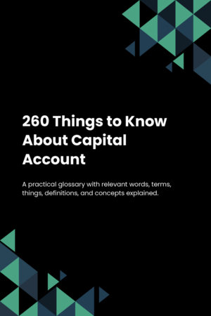 260 Things to Know About Capital Account