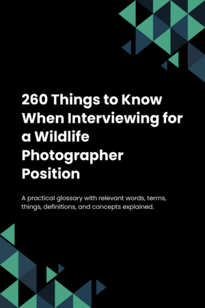 260 Things to Know When Interviewing for a Wildlife Photographer Position