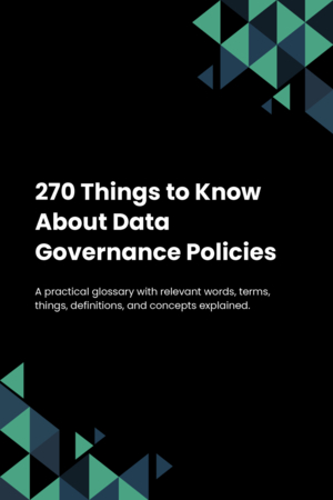 270 Things to Know About Data Governance Policies