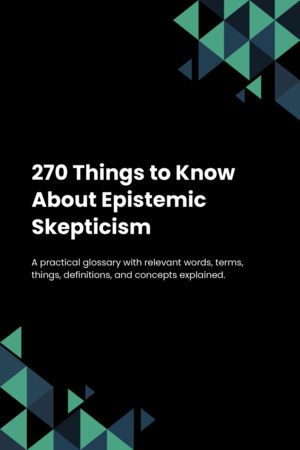 270 Things to Know About Epistemic Skepticism