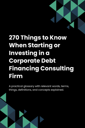 270 Things to Know When Starting or Investing in a Corporate Debt Financing Consulting Firm