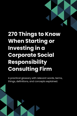 270 Things to Know When Starting or Investing in a Corporate Social Responsibility Consulting Firm