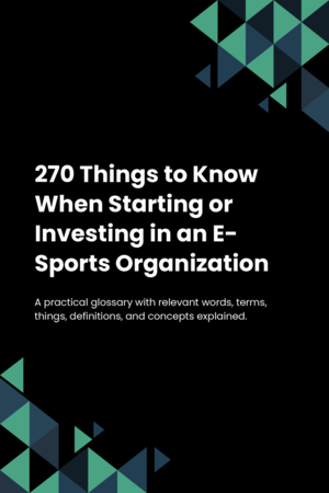 270 Things to Know When Starting or Investing in an E-Sports Organization