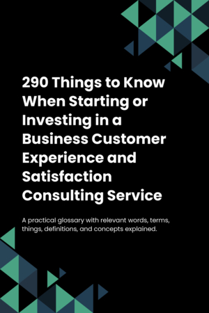 290 Things to Know When Starting or Investing in a Business Customer Experience and Satisfaction Consulting Service