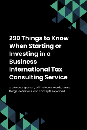 290 Things to Know When Starting or Investing in a Business International Tax Consulting Service