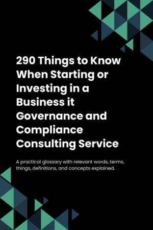 290 Things to Know When Starting or Investing in a Business it Governance and Compliance Consulting Service