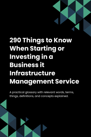 290 Things to Know When Starting or Investing in a Business it Infrastructure Management Service