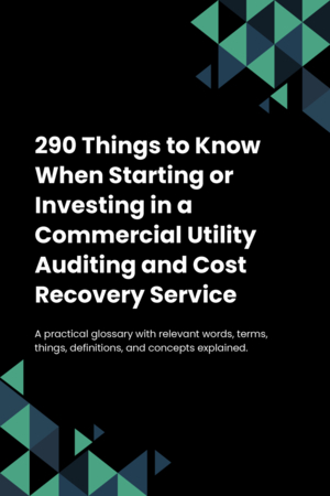 290 Things to Know When Starting or Investing in a Commercial Utility Auditing and Cost Recovery Service