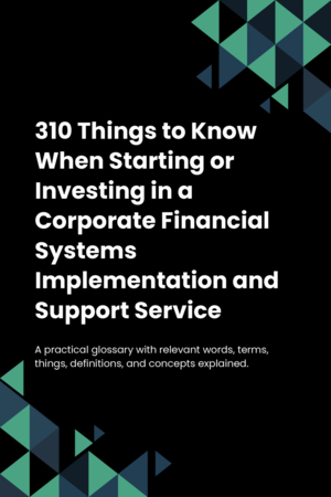 290 Things to Know When Starting or Investing in a Corporate Financial Systems Implementation and Support Service