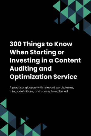 300 Things to Know When Starting or Investing in a Content Auditing and Optimization Service