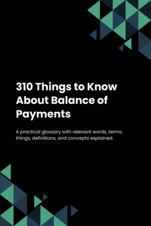 310 Things to Know About Balance of Payments