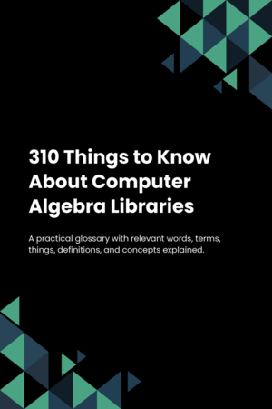 310 Things to Know About Computer Algebra Libraries