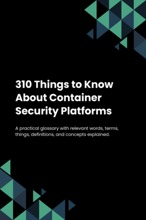 310 Things to Know About Container Security Platforms