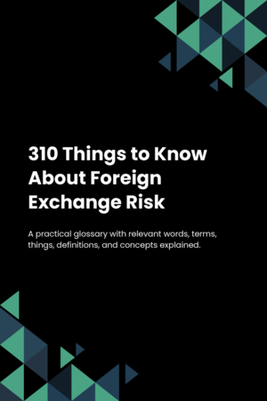 310 Things to Know About Foreign Exchange Risk