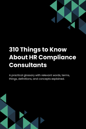 310 Things to Know About HR Compliance Consultants