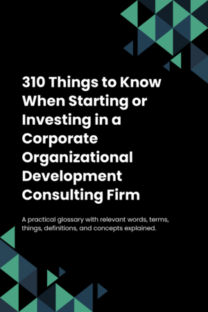 310 Things to Know When Starting or Investing in a Corporate Organizational Development Consulting Firm