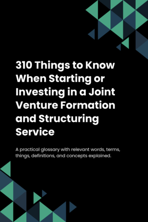 310 Things to Know When Starting or Investing in a Joint Venture Formation and Structuring Service