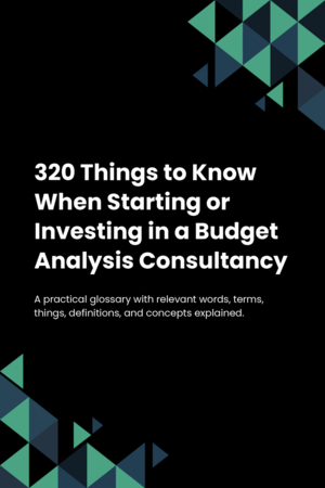 320 Things to Know When Starting or Investing in a Budget Analysis Consultancy