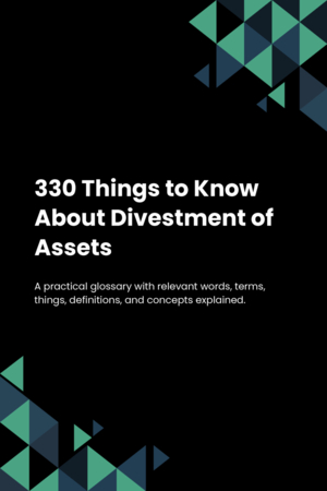 330 Things to Know About Divestment of Assets