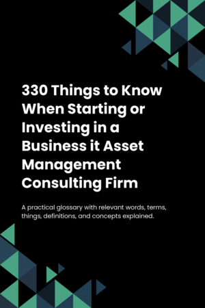 330 Things to Know When Starting or Investing in a Business it Asset Management Consulting Firm