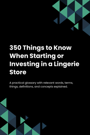 330 Things to Know When Starting or Investing in a Lingerie Store